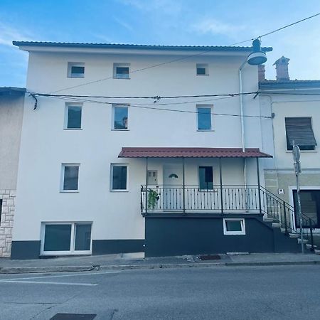 Vanadium House Appartement Tolmin Buitenkant foto